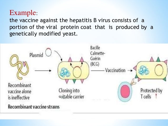vaccine and pertussis spreads vaccine and pertussis spreads